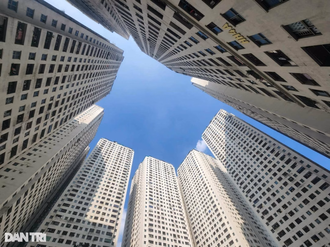 Cư d&acirc;n HH Linh Đ&agrave;m nhận phiếu khảo s&aacute;t về phương &aacute;n xử l&yacute; sai phạm của chủ đầu tư