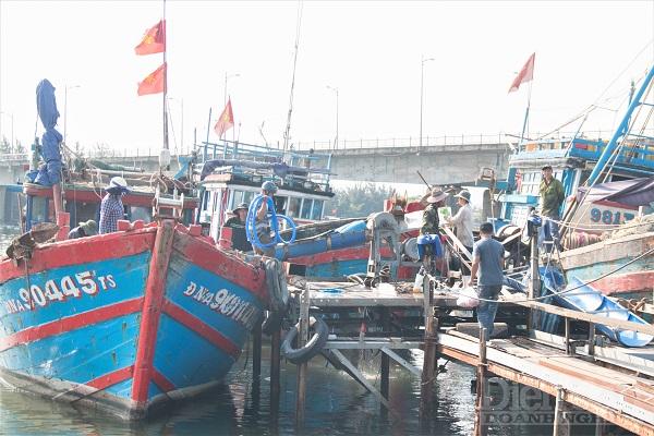 Kỳ vọng sau lần kiểm tra tới, Việt Nam sẽ gỡ được thẻ vàng IUU