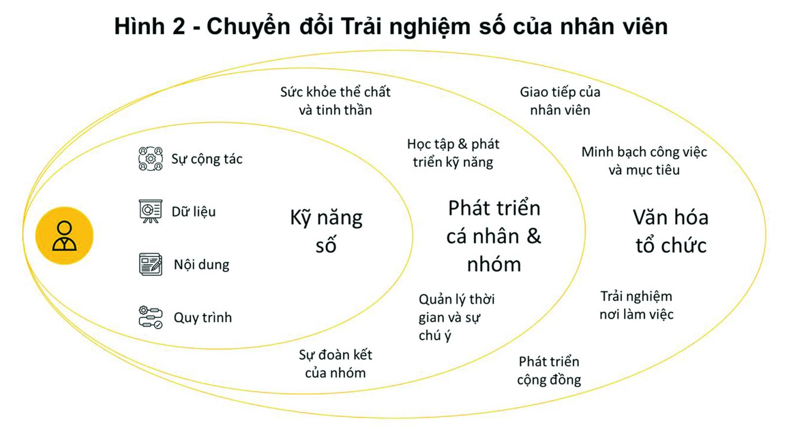 Tác động của trải nghiệm số