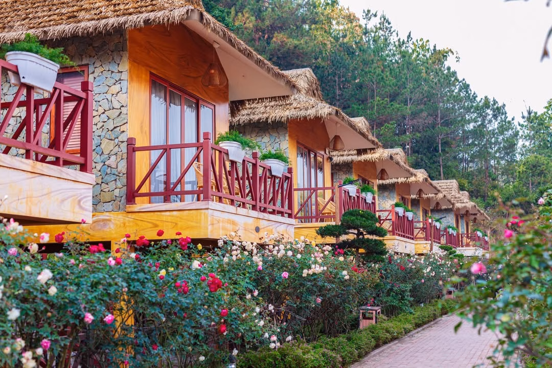 Homestay tại Đà Lạt Homestay tại Đà Lạt