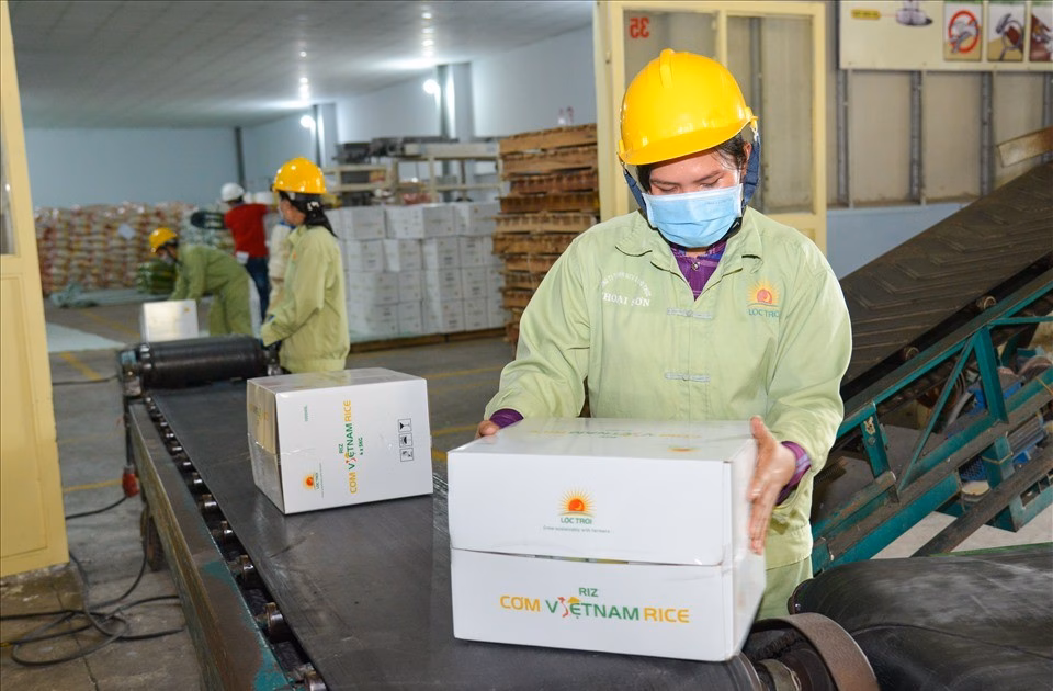 Lộc Trời gặp khó khăn tài chính Lộc Trời dự kiến lỗ hơn 500 tỷ đồng trong năm 2025