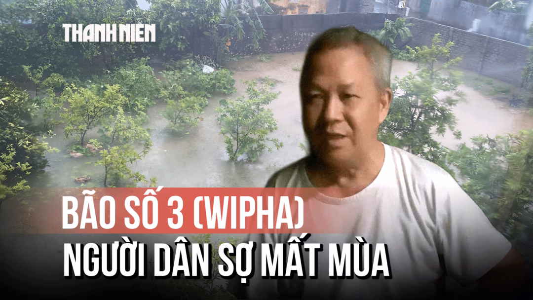 Nhiều khu vực tại miền Bắc đề phòng gió giật mạnh, mưa to Bão số 3 (Wipha) khiến Thanh Hóa ngập sâu, người dân sợ mất mùa
