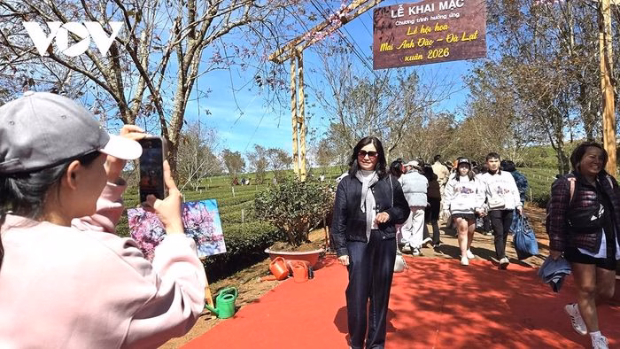 Du kh&aacute;ch chụp ảnh lưu niệm dưới cổng khai mạc lễ hội Hoa Mai Anh Đ&agrave;o tr&ecirc;n đồi tr&agrave; Cầu Đất