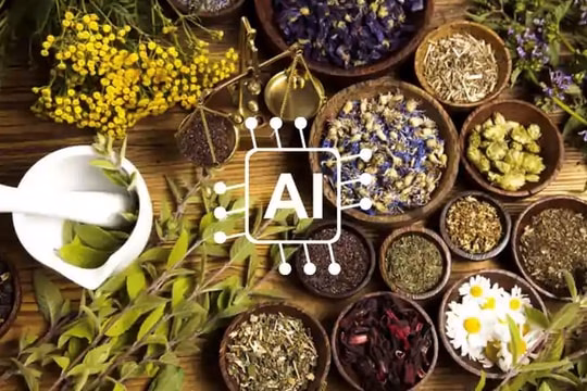 Bưu điện xã tự chủ: Cánh tay nối dài của chính quyền địa phương Khuyến nghị của WHO, ITU, WIPO về lộ trình ứng dụng AI trong y học cổ truyền