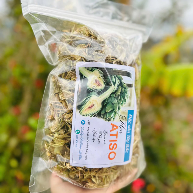 Uống Bông Atiso Sapa Có Tác Dụng Gì Và Những Sai Lầm Cần Tránh