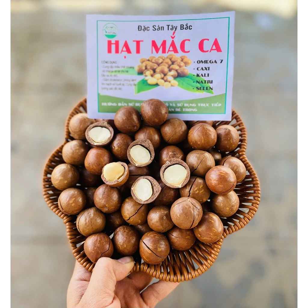 Mắc ca đại đặc sản Tây Bắc – Bí quyết giúp tôi vượt qua mùa đông hanh khô chỉ với một nắm nhỏ mỗi ngày