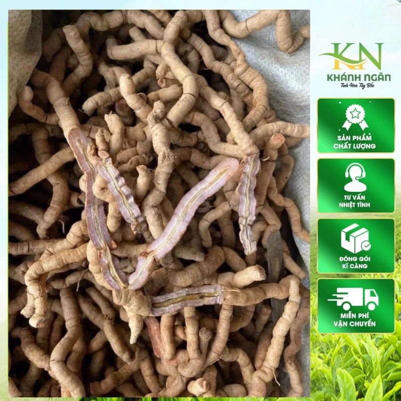 Tôi đã mua Ba kích tím Quảng Ninh về và đây là những điều tôi học được