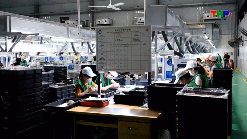 Cơ Hội Và Thách Thức Tìm Việc Làm Cuối Năm
