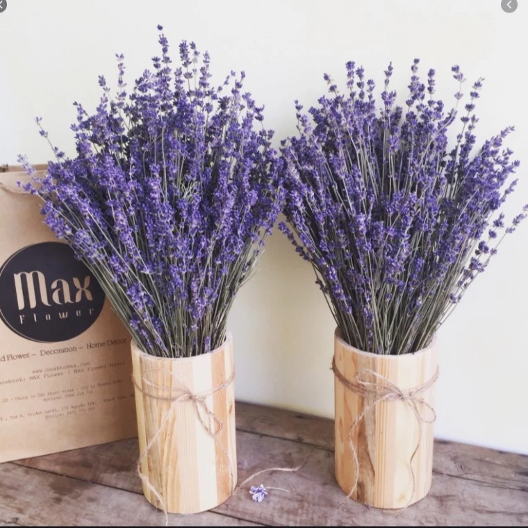 Làm Thế Nào Để Bảo Quản Bó Hoa Khô Lavender Để Giữ Mùi Thơm Vĩnh Viễn