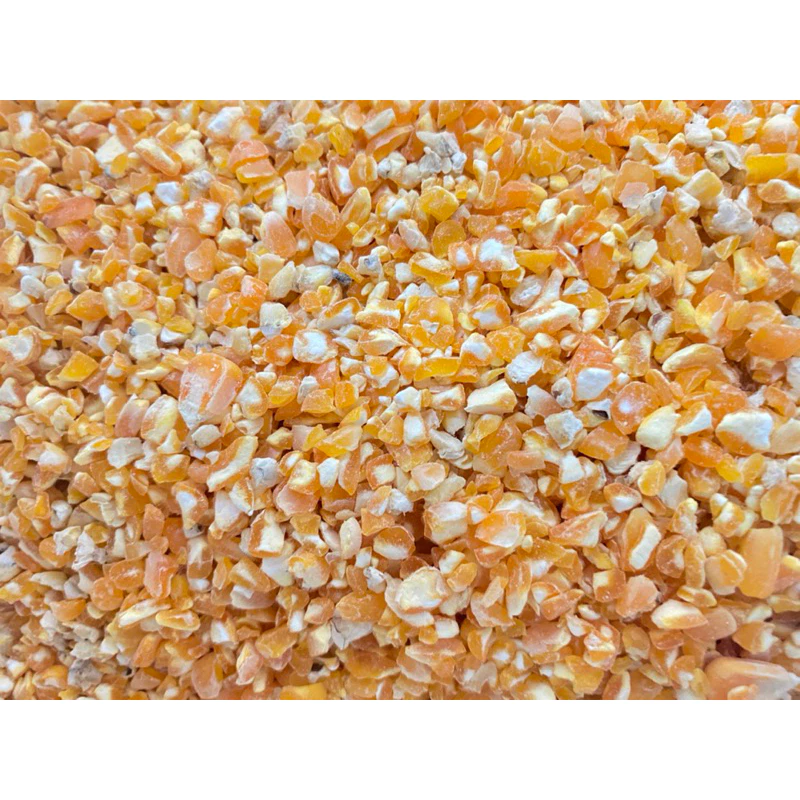 Khi Cho Chim Ăn Ngô Mảnh: Tôi Đã Lầm Lỡ Như Thế Nào Và Bài Học Quý Giá Tôi Rút Ra