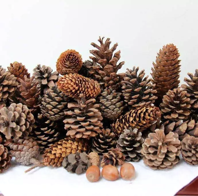 Tôi đã phạm sai lầm khi mua trang trí handmade Đà Lạt, đây là những gì tôi rút ra được