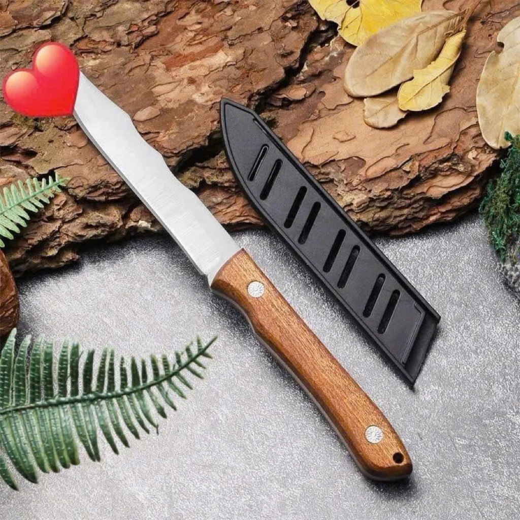 Làm thế nào để chọn dao cắt hoa quả phù hợp cho chuyến picnic và sử dụng hiệu quả?