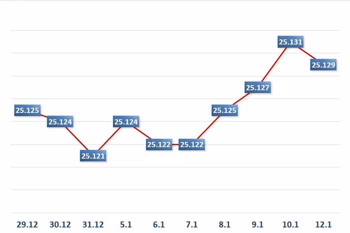 Tỷ Giá Trung Tâm Giảm 2 Đồng: Tác Động Của Fed, CPI và Tình Hình Địa Chính Trị