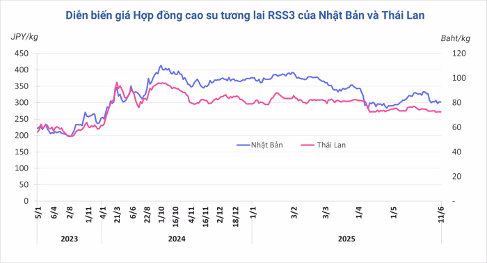 Biến động giá cao su Giá cao su tự nhiên biến động trái chiều