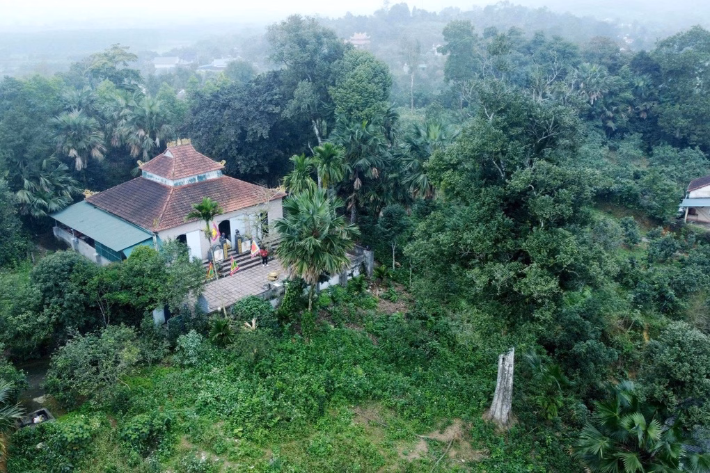 Cây dó trầm cổ thụ Hai cây dó trầm cổ thụ trong khuôn viên đền Khoai Vạc
