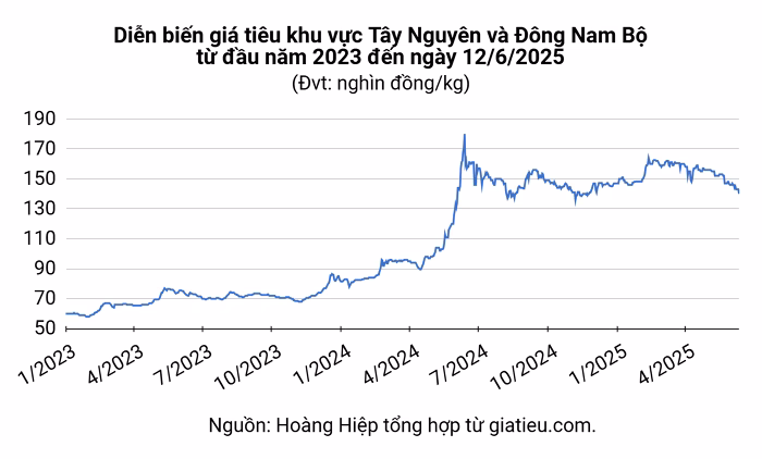 Giá tiêu hôm nay (12/6) Giá tiêu hôm nay