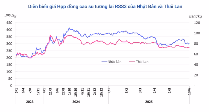 Giá cao su hôm nay