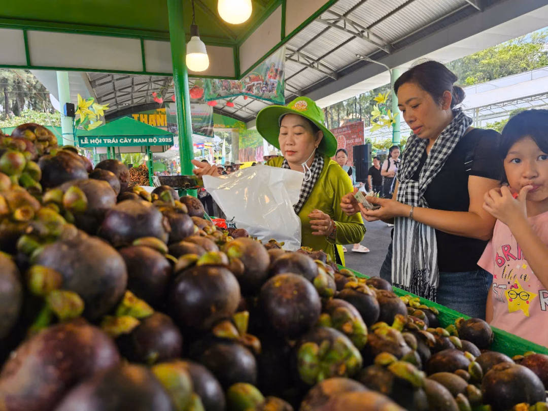 Măng cụt Lái Thiêu Măng cụt Lái Thiêu