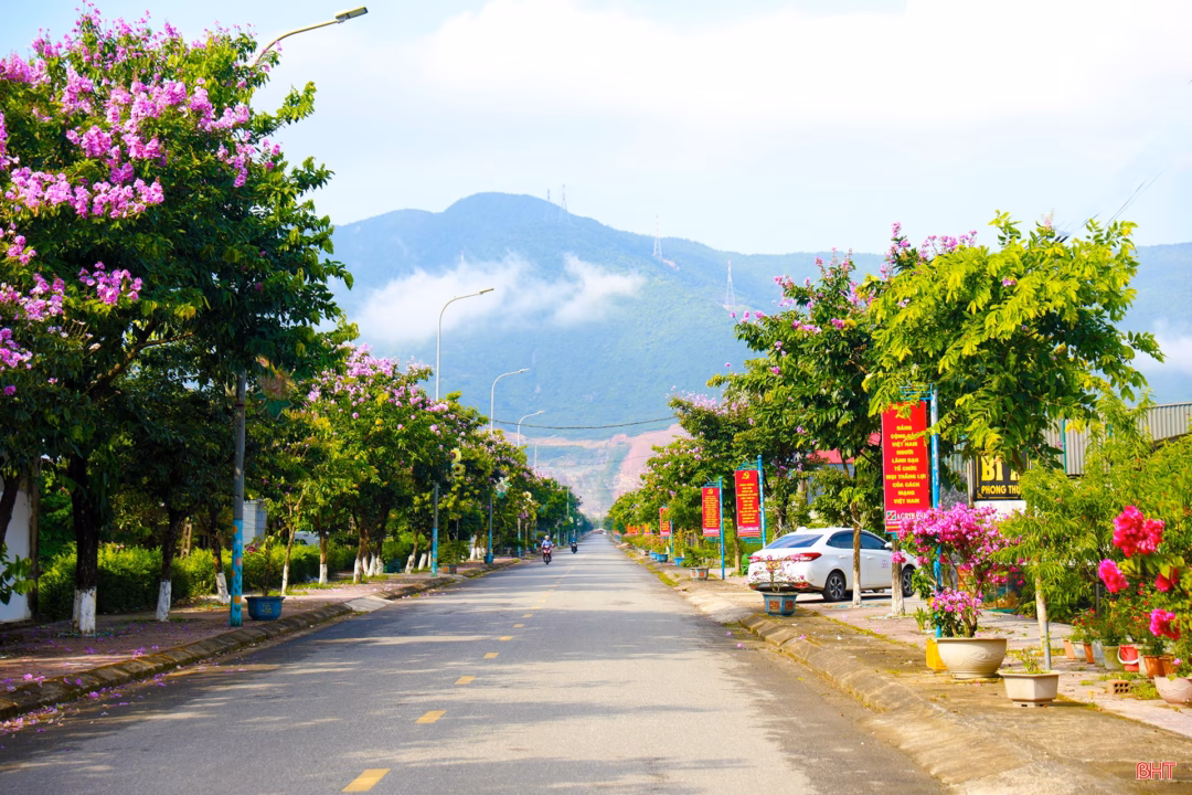 Hà Tĩnh: Phong trào thi đua sôi nổi tại phường Hoành Sơn trước thềm Đại hội Đảng Tuyến đường trục chính phường Hoành Sơn.