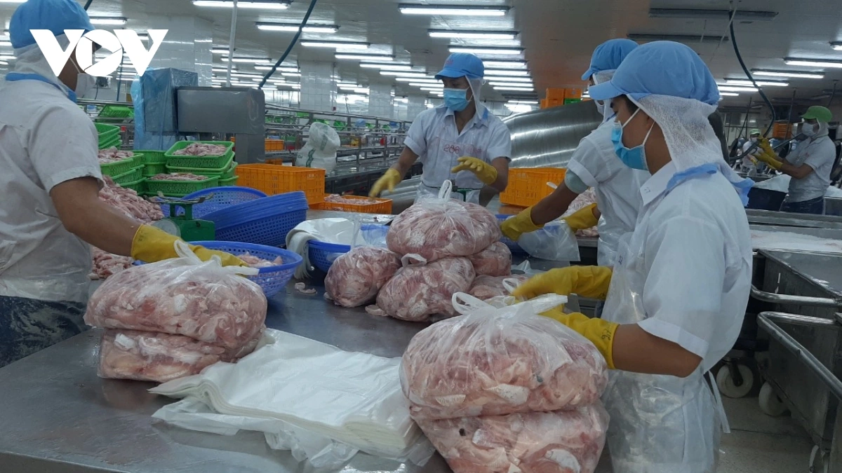 Chế biến thủy sản xuất khẩu là thế mạnh của tỉnh Đồng Tháp