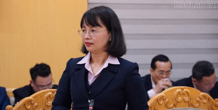 Phát biểu đại biểu Đại biểu phát biểu tại buổi làm việc