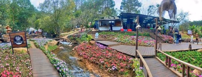 Suối Bình Yên – điểm dừng chân thư giãn Suối Bình Yên và hoa xuân rực rỡ