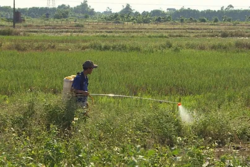 N&ocirc;ng d&acirc;n lo lắng về sức khỏe