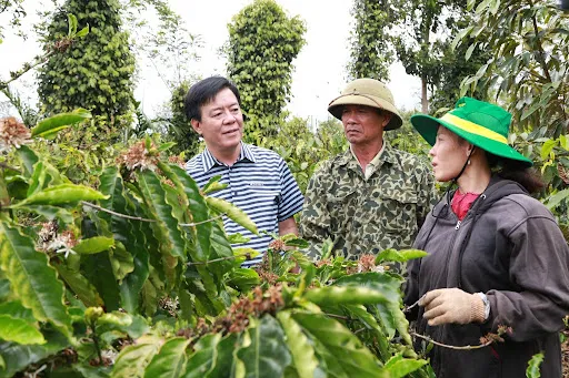 Tổng Giám đốc Ngô Văn Đông Ông Ngô Văn Đông trao đổi với người nông dân