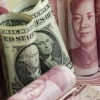 Tỷ giá USD và nhân dân tệ Đồng nhân dân tệ và đồng USD