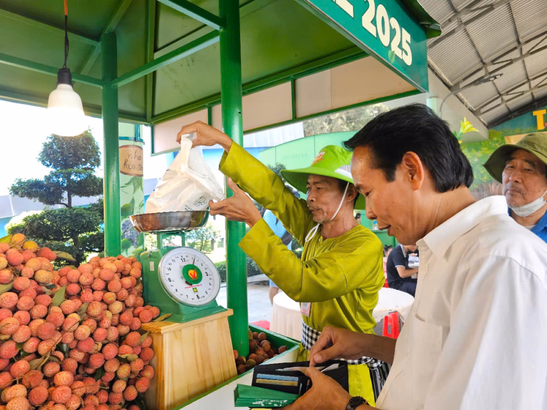 Vải Lục Ngạn Vải Lục Ngạn 64.000 đồng/kg