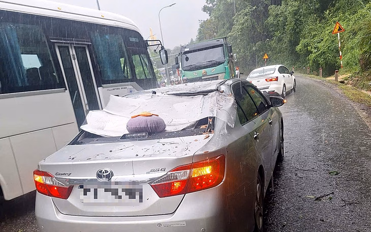 Đà Lạt cảnh báo cây xanh ngã đổ trong bão Wipha Thông ngã đè nát ô tô của du khách đi chơi tại Đà Lạt- Ảnh 2.