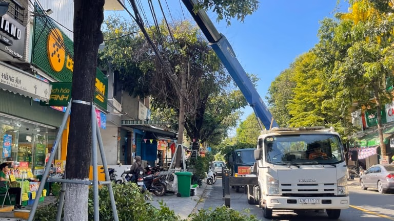 Những chuyện atypical từ lạng sơn đến TP HCM và chuyện cấm mới ở Trung Quốc Đà Nẵng lên kịch bản bảo vệ cây xanh mùa bão, cảnh báo không cắt trụi tán lá gây phản cảm
