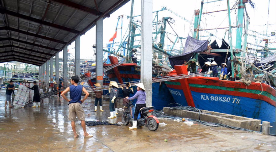 Thanh Hoá, Nghệ An gấp rút ứng phó bão số 3 Ngư dân Nghệ An chủ động neo đậu tàu thuyền tránh trú bão. Ảnh: Xuân Hoàng