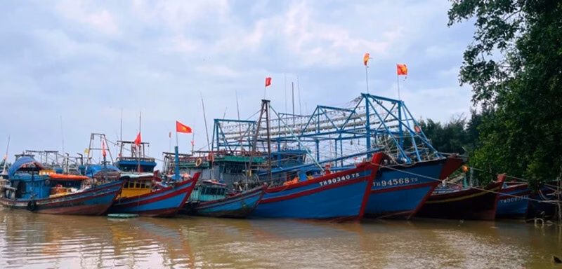 Thanh Hoá, Nghệ An gấp rút ứng phó bão số 3 Hàng trăm tàu thuyền của ngư dân Hà Tĩnh và các tỉnh lân cận đã vào các cảng cá, khu neo đậu tránh trú bão trên địa bàn. Ảnh: Văn Chung