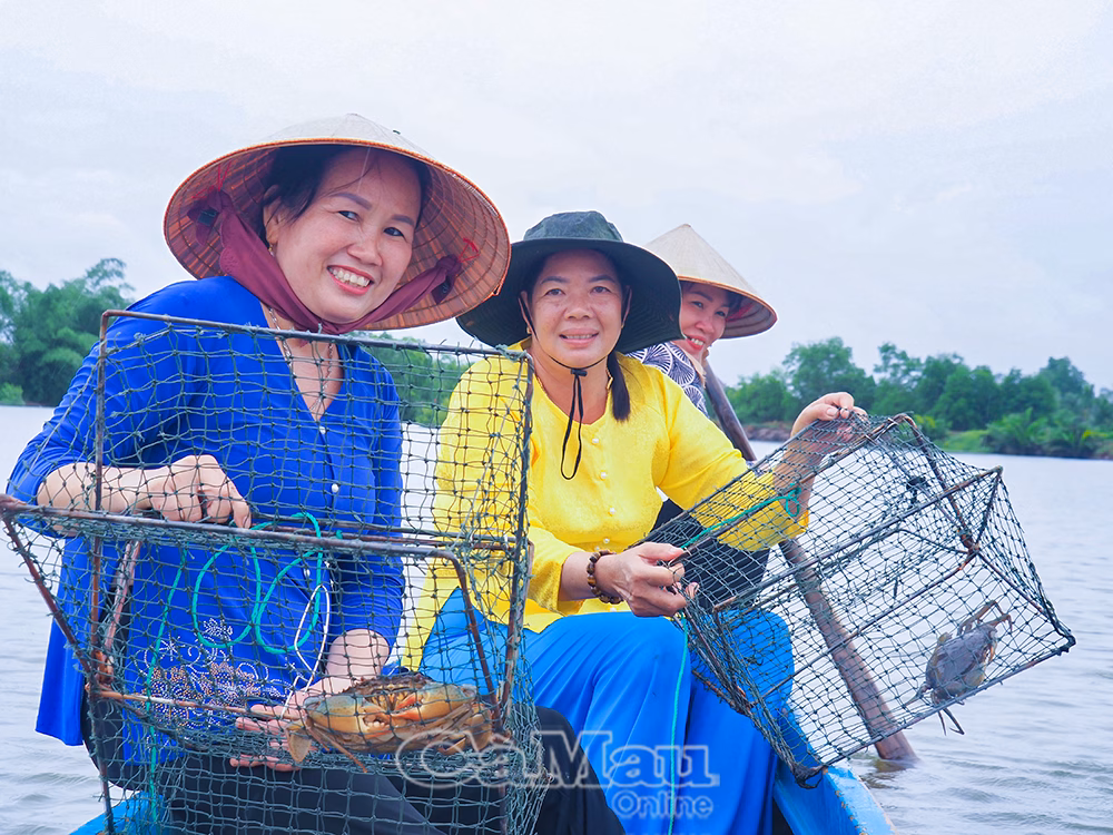 Cua Cà Mau – Hương rừng, vị biển: Lễ hội tôn vinh ngành cua và văn hoá ẩm thực địa phương Cua Cà Mau không chỉ là đặc sản, mà còn là biểu tượng văn hoá, sinh thái và kinh tế của vùng đất cực Nam Tổ quốc.