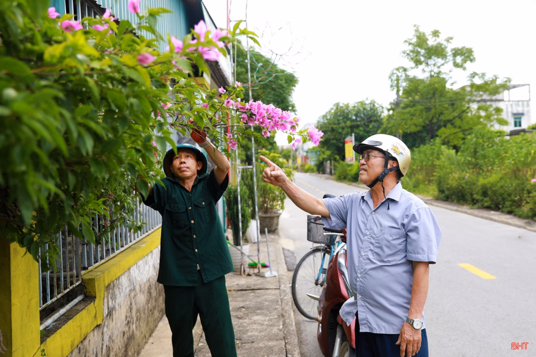 Hà Tĩnh: Phường Hoành Sơn sôi nổi phong trào thi đua chào mừng Đại hội Đảng Tuyến đường trục chính phường Hoành Sơn.