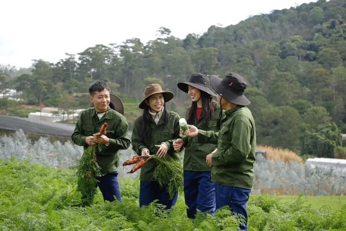 Người nổi tiếng quảng cáo sai sự thật sẽ phải chịu trách nhiệm trước pháp luật Hằng Du Mục, Quang Linh Vlogs, Thuỳ Tiên quảng cáo sai sự thật