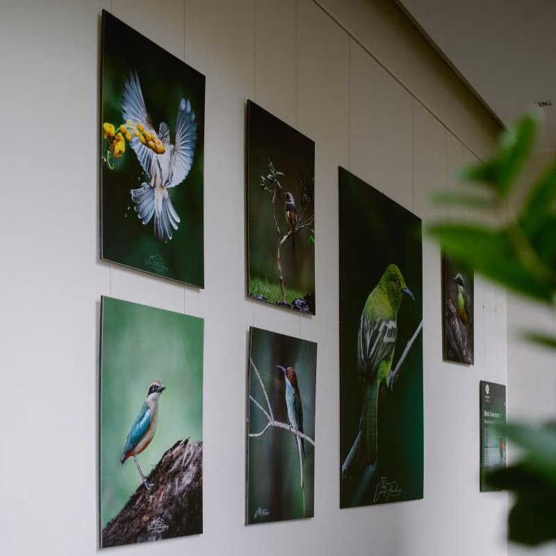 5 khu nghỉ dưỡng tại Việt Nam sở hữu gallery nghệ thuật độc đáo