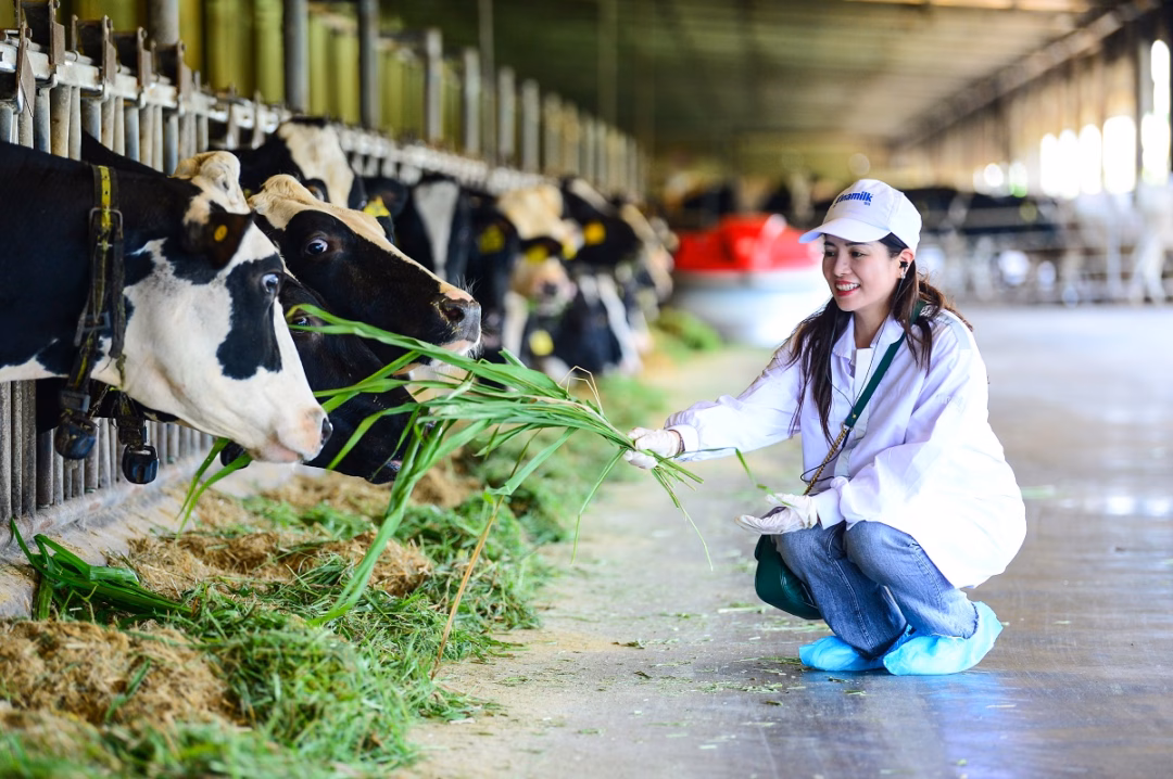 Vinamilk ‘mở khóa’ tự nhiên tại trang trại sinh thái Ảnh: Quang Định