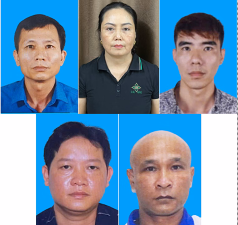 Biểu đồ số bị can trong vụ ASF tại Halong Canfoco