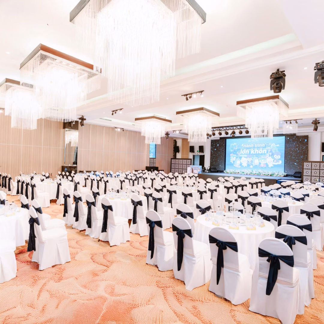 Binky &ndash; cảm hứng đại dương, h&igrave;nh 3