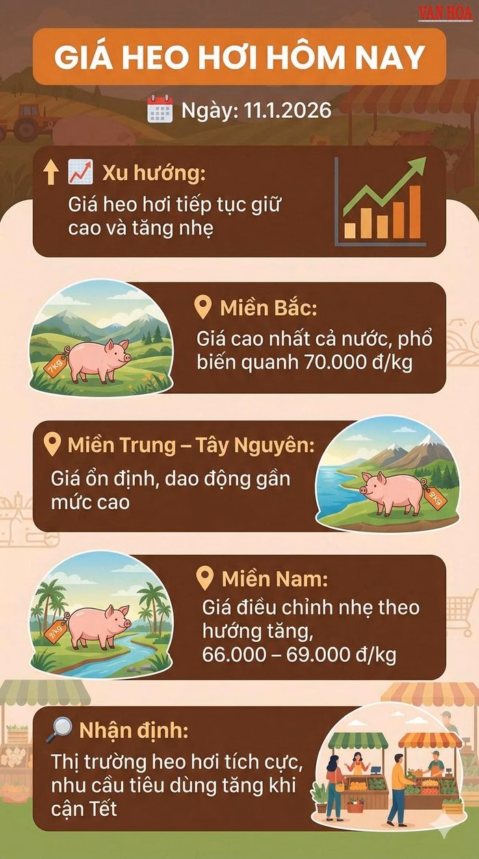 Cảnh chợ b&aacute;n heo hơi ng&agrave;y 11/1/2026