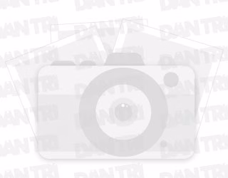 Đấu giá 40 lô đất Măng Đen Đấu giá 40 lô đất trung tâm Măng Đen, thu gần 270 tỷ đồng