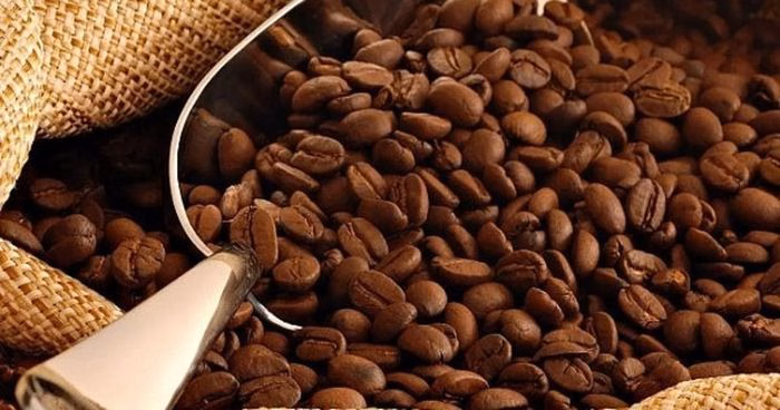 Gi&aacute; c&agrave; ph&ecirc; tại T&acirc;y Nguy&ecirc;n ng&agrave;y 12/1/2026