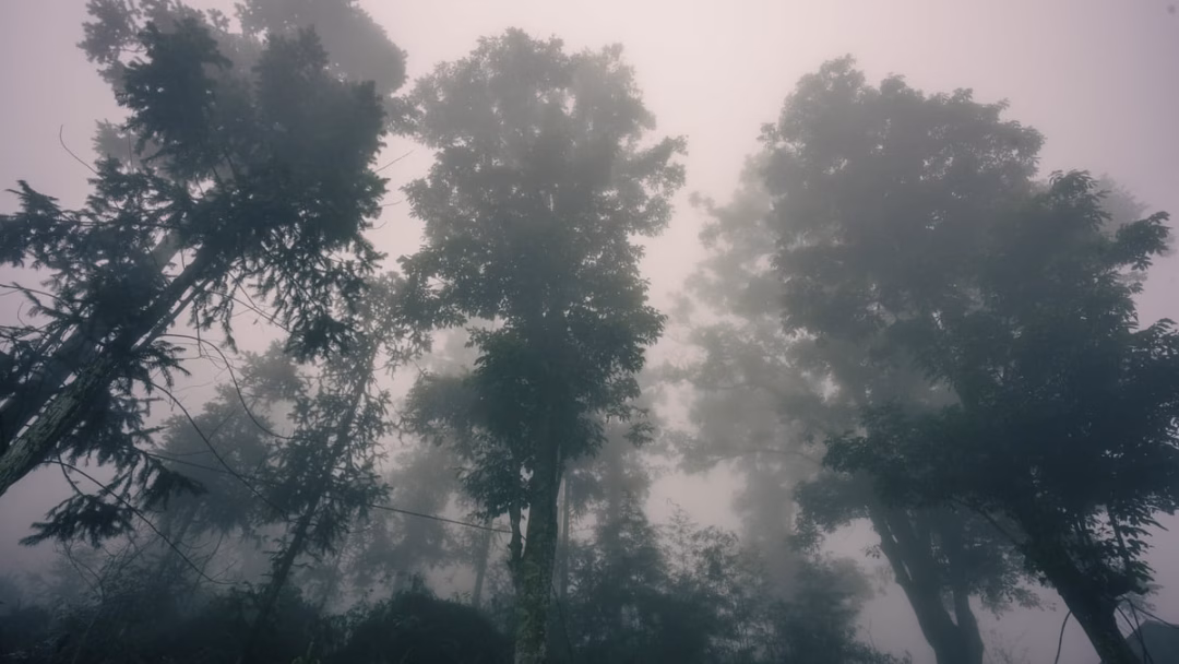 Cần Thơ ‘tháo nút thắt’ giải ngân vốn đầu tư công 'Làng địa ngục' Sảo Há của Andy Trung