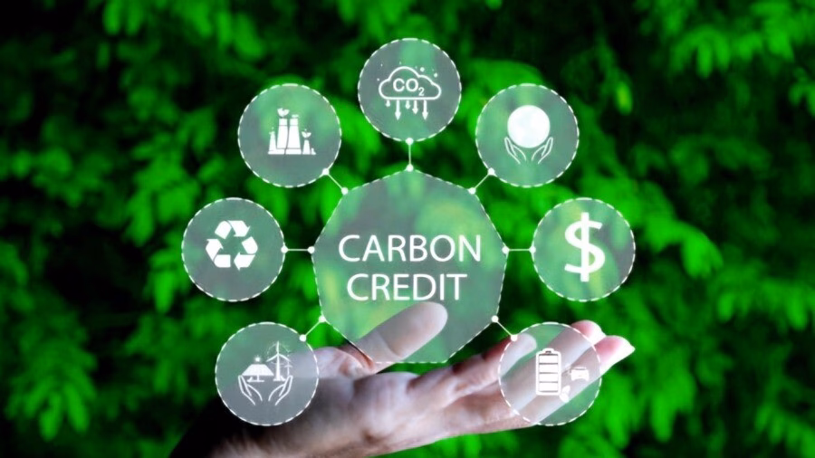 Việt Nam hướng tới mục tiêu Net Zero tại Diễn đàn  Net Zero Việt Nam 2