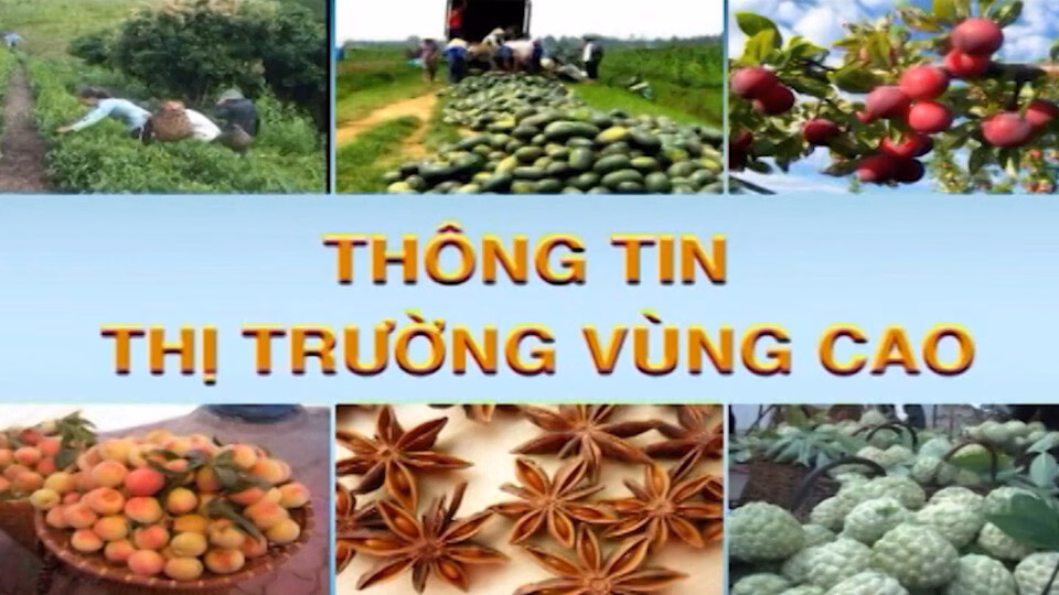 Tạp chí Thông Tin Thị Trường Vùng Cao: Nguồn Thông Tin Hữu Ích Cho Khu Vực Vùng Cao
