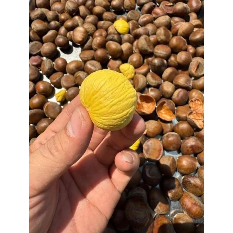 Mua hạt dẻ Sapa về mà luộc không ra vị, bạn đã làm đúng cách chưa?