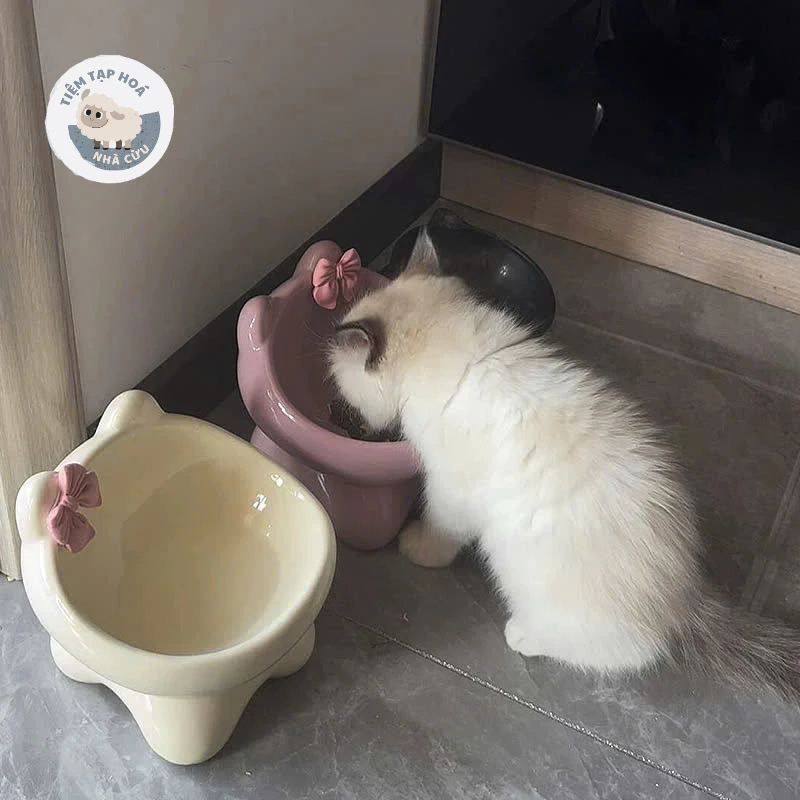 Mèo Của Bạn Có Đang Ăn Không Lành Mạch Vì Bát Ăn Sai Kiểu?