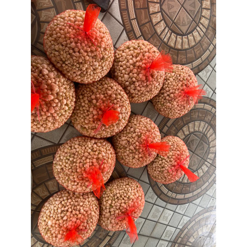 Làm sao để hành tăm, củ nén Nghệ An không bị đắng khi nấu ăn?